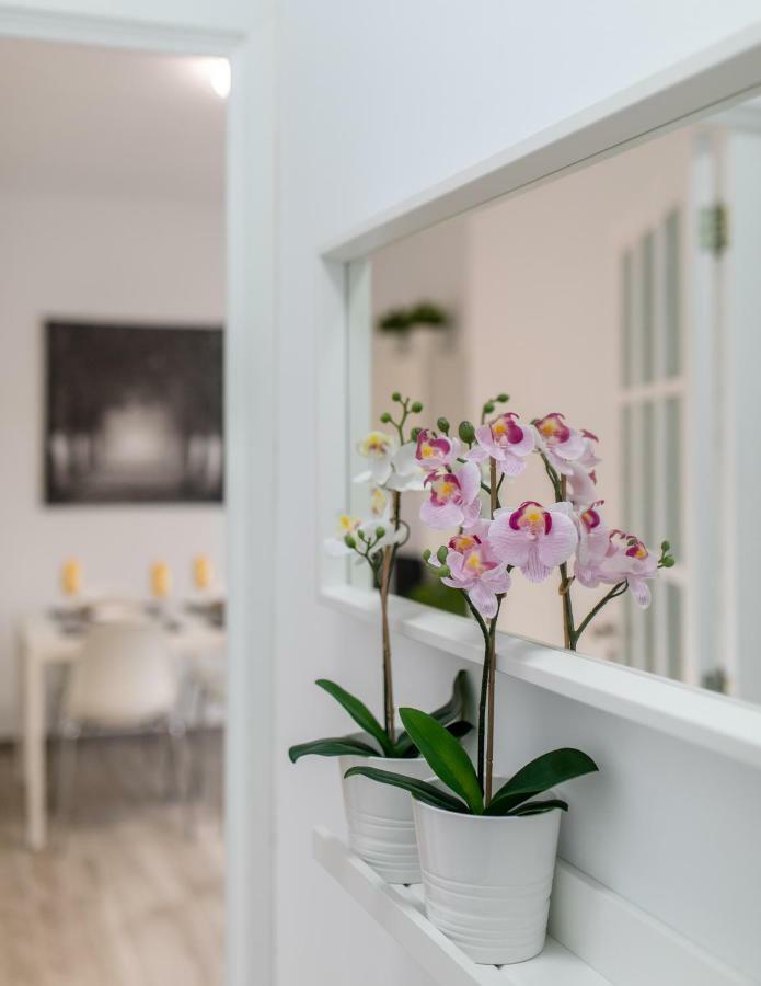 Santa Cruz Downtown Apartment Ngoại thất bức ảnh